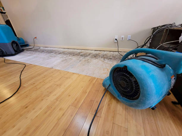 Professional Structural Drying technician working in Farmersville, OH